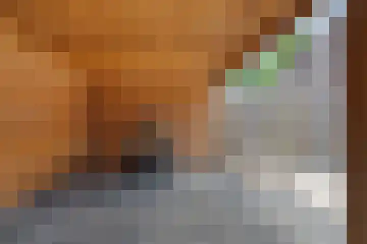 Kuifmees 38 Emmen thumbnail 40