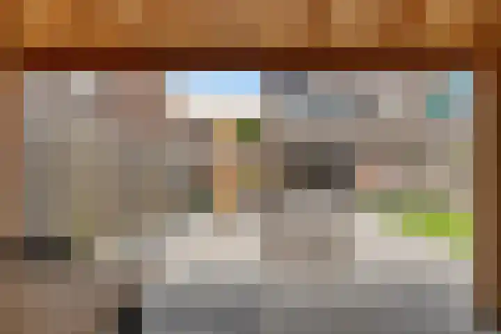 Kuifmees 38 Emmen thumbnail 41