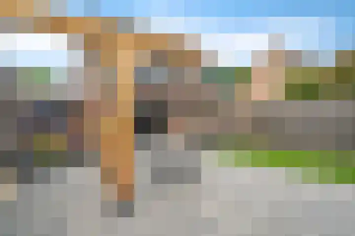 Kuifmees 38 Emmen thumbnail 42
