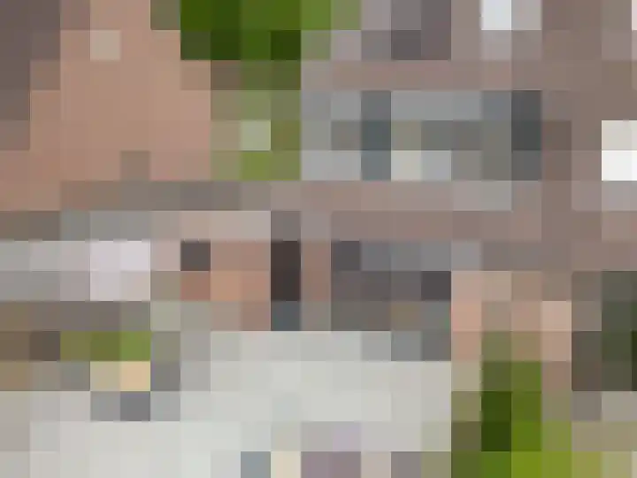 Kuifmees 38 Emmen thumbnail 43