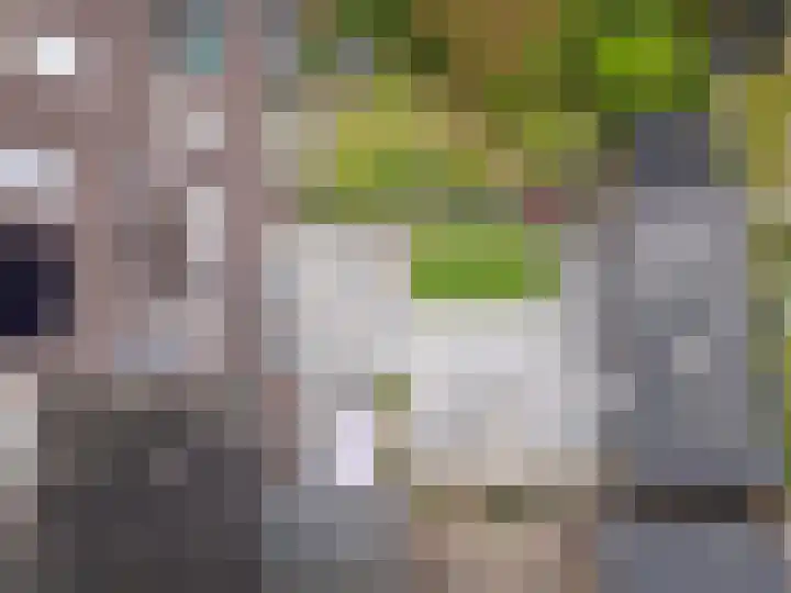 Kuifmees 38 Emmen thumbnail 45