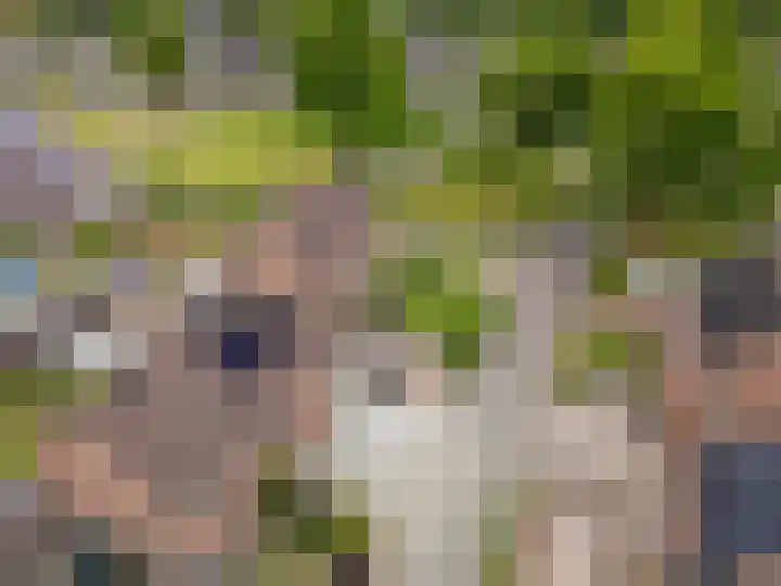 Kuifmees 38 Emmen thumbnail 46