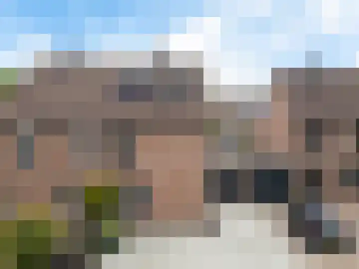 Kuifmees 38 Emmen thumbnail 47
