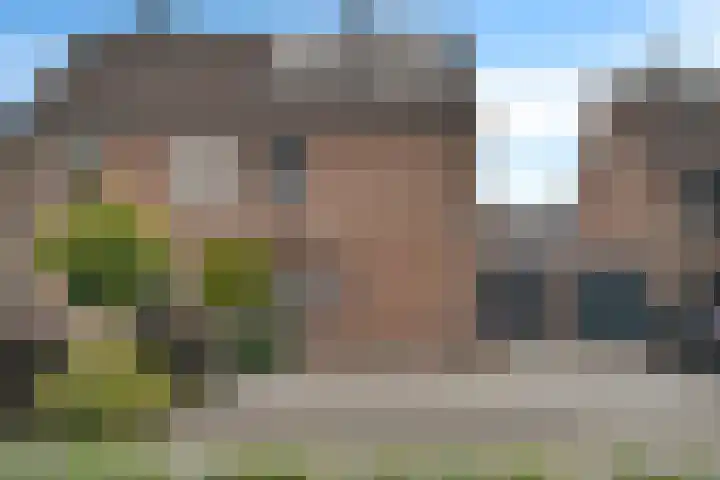 Kuifmees 38 Emmen thumbnail 48