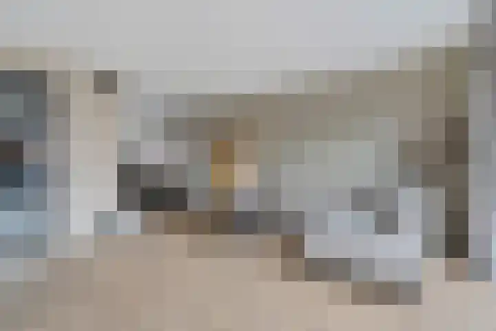 Kuifmees 38 Emmen thumbnail 5