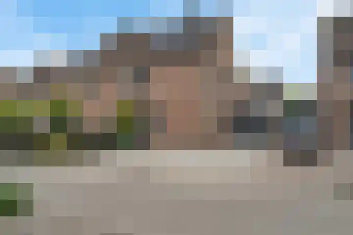 Kuifmees 38 Emmen thumbnail 50