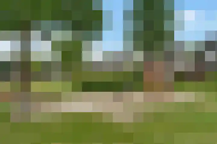 Kuifmees 38 Emmen thumbnail 51