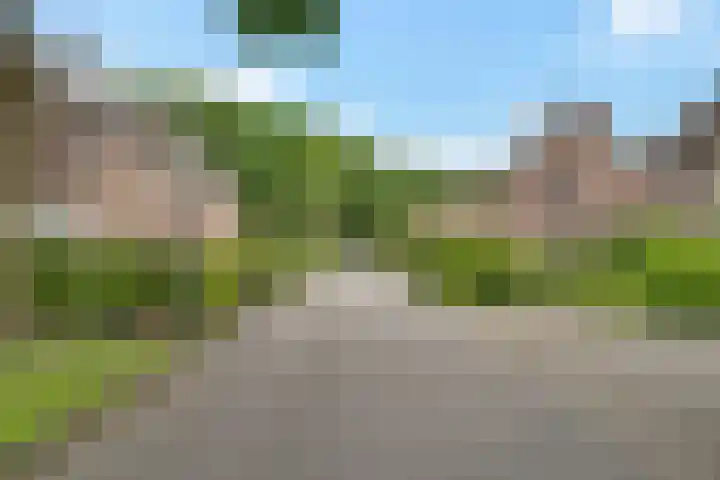 Kuifmees 38 Emmen thumbnail 52