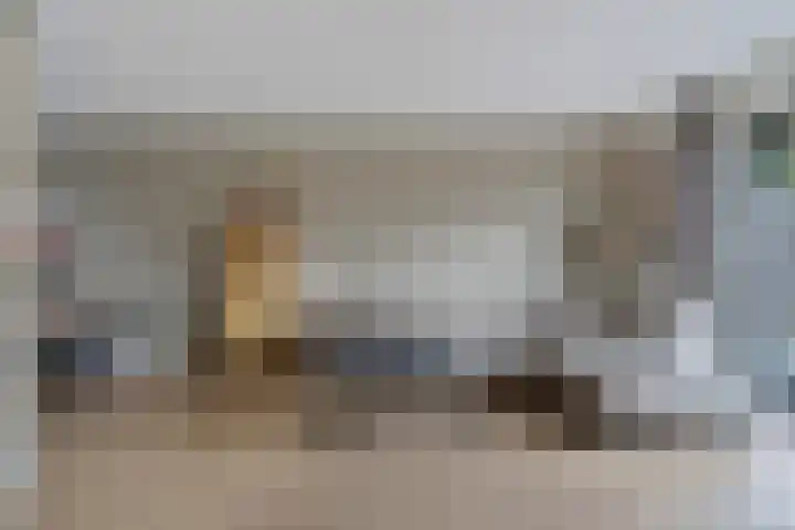 Kuifmees 38 Emmen thumbnail 6