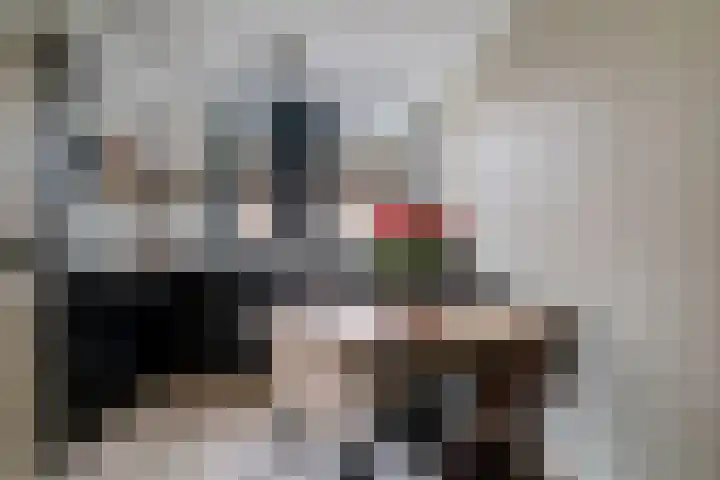 Kuifmees 38 Emmen thumbnail 8