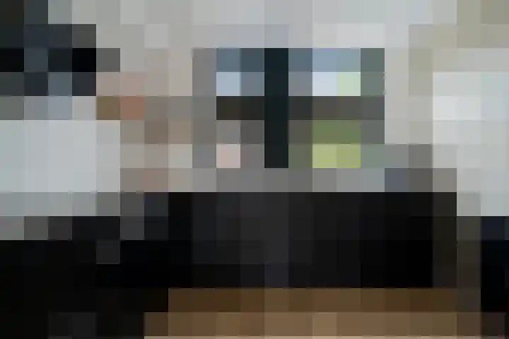 Kuifmees 38 Emmen thumbnail 9