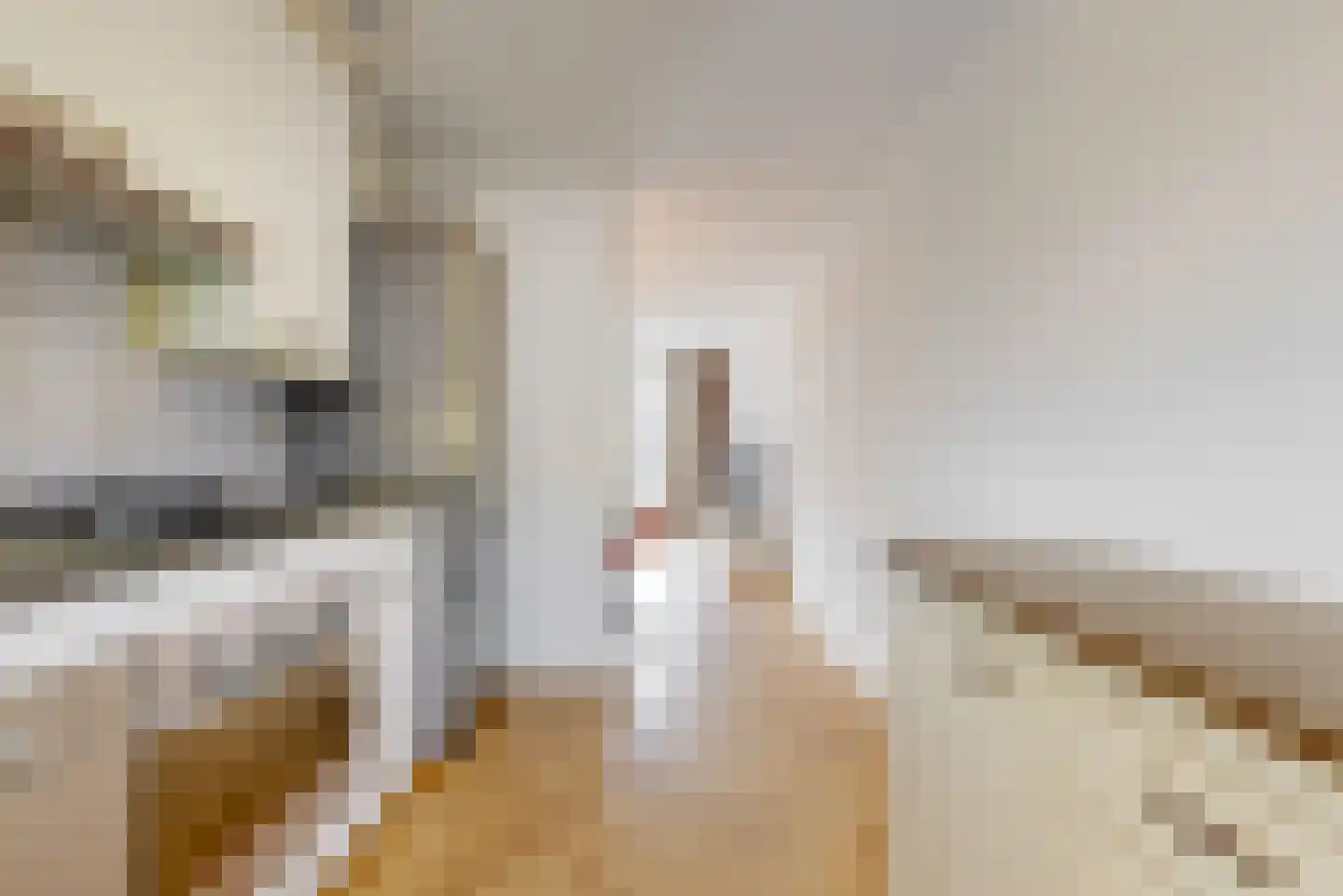 Kuifmees 51 Uithoorn thumbnail 8