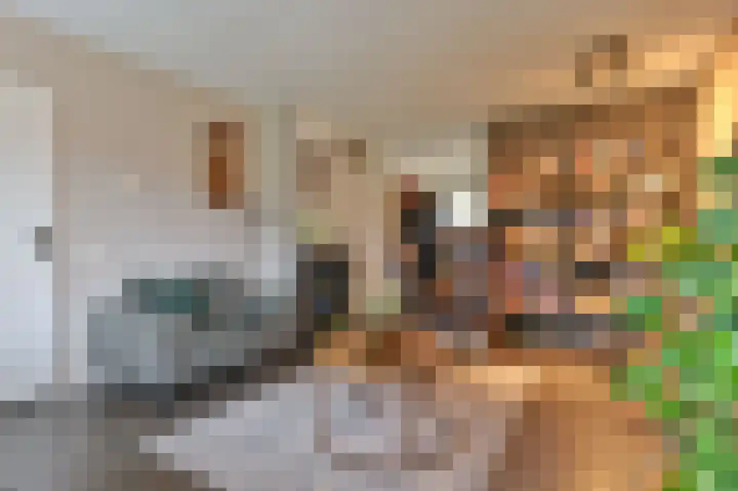 Kuifmees 61 Emmen thumbnail 13