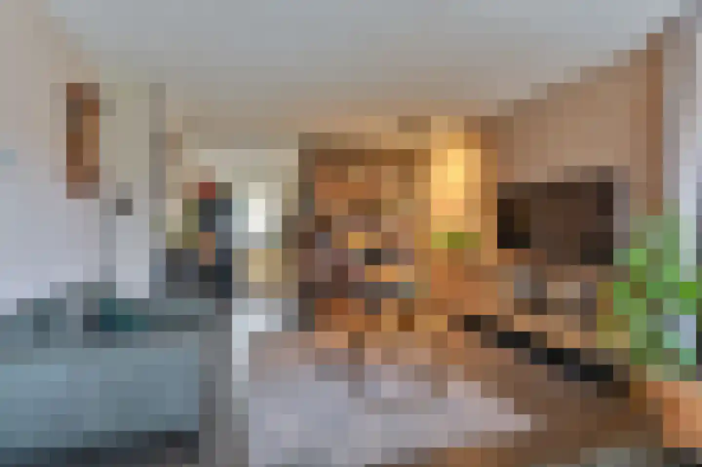 Kuifmees 61 Emmen thumbnail 14