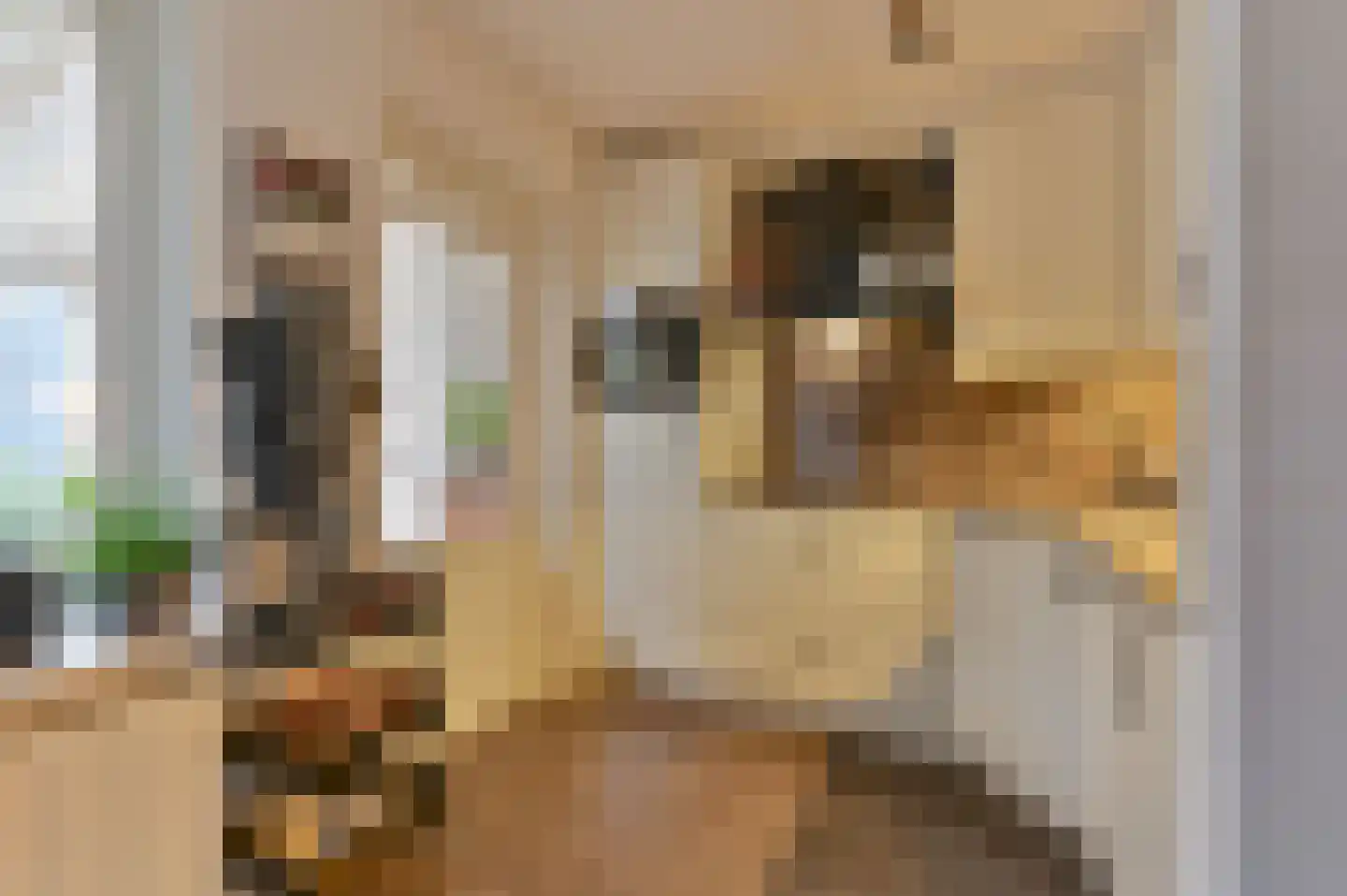 Kuifmees 61 Emmen thumbnail 17