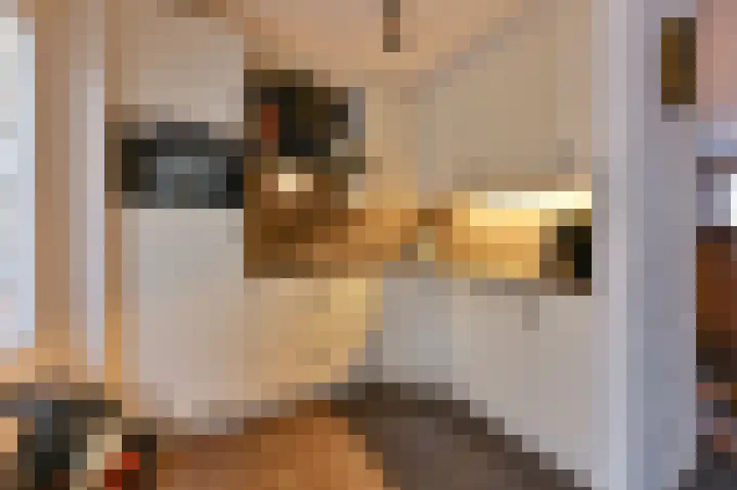 Kuifmees 61 Emmen thumbnail 18