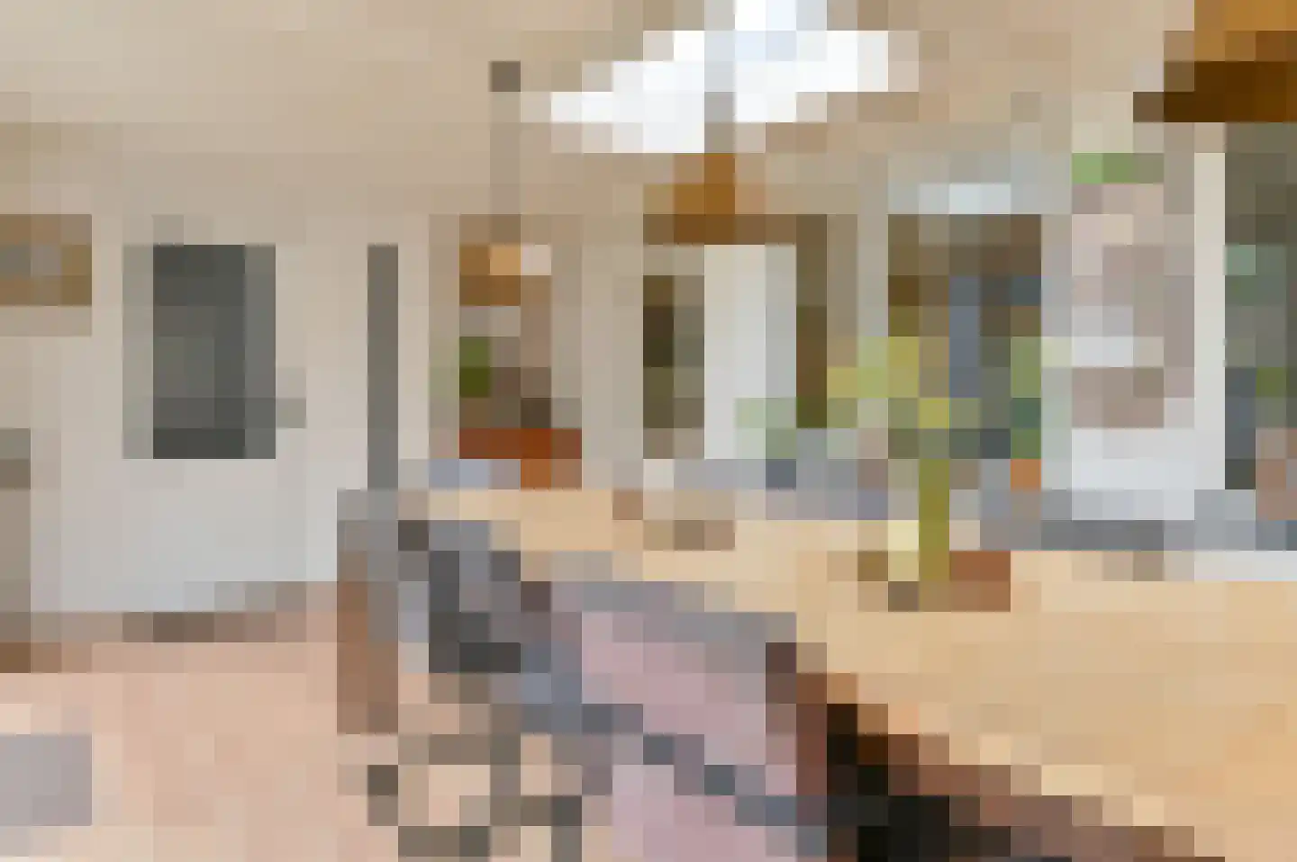 Kuifmees 61 Emmen thumbnail 24
