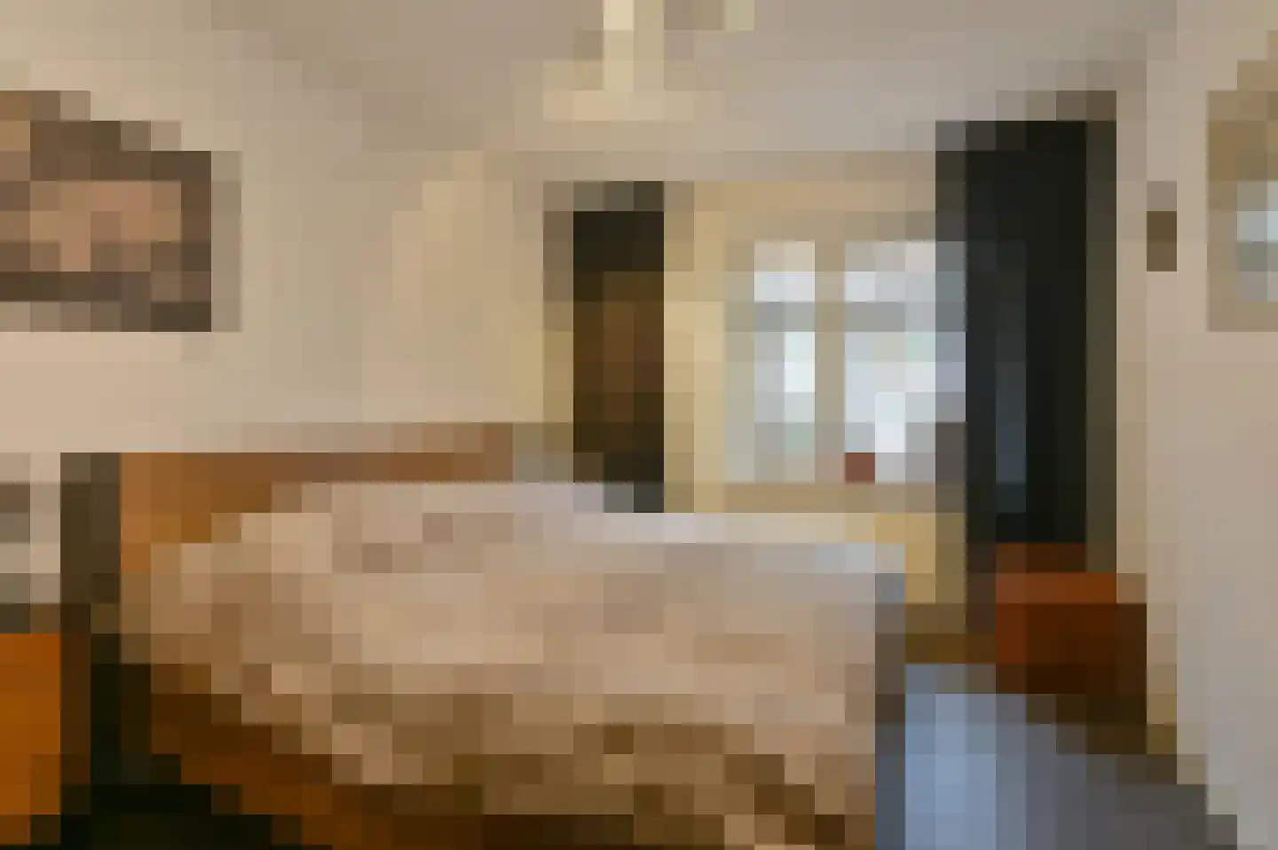 Kuifmees 61 Emmen thumbnail 27
