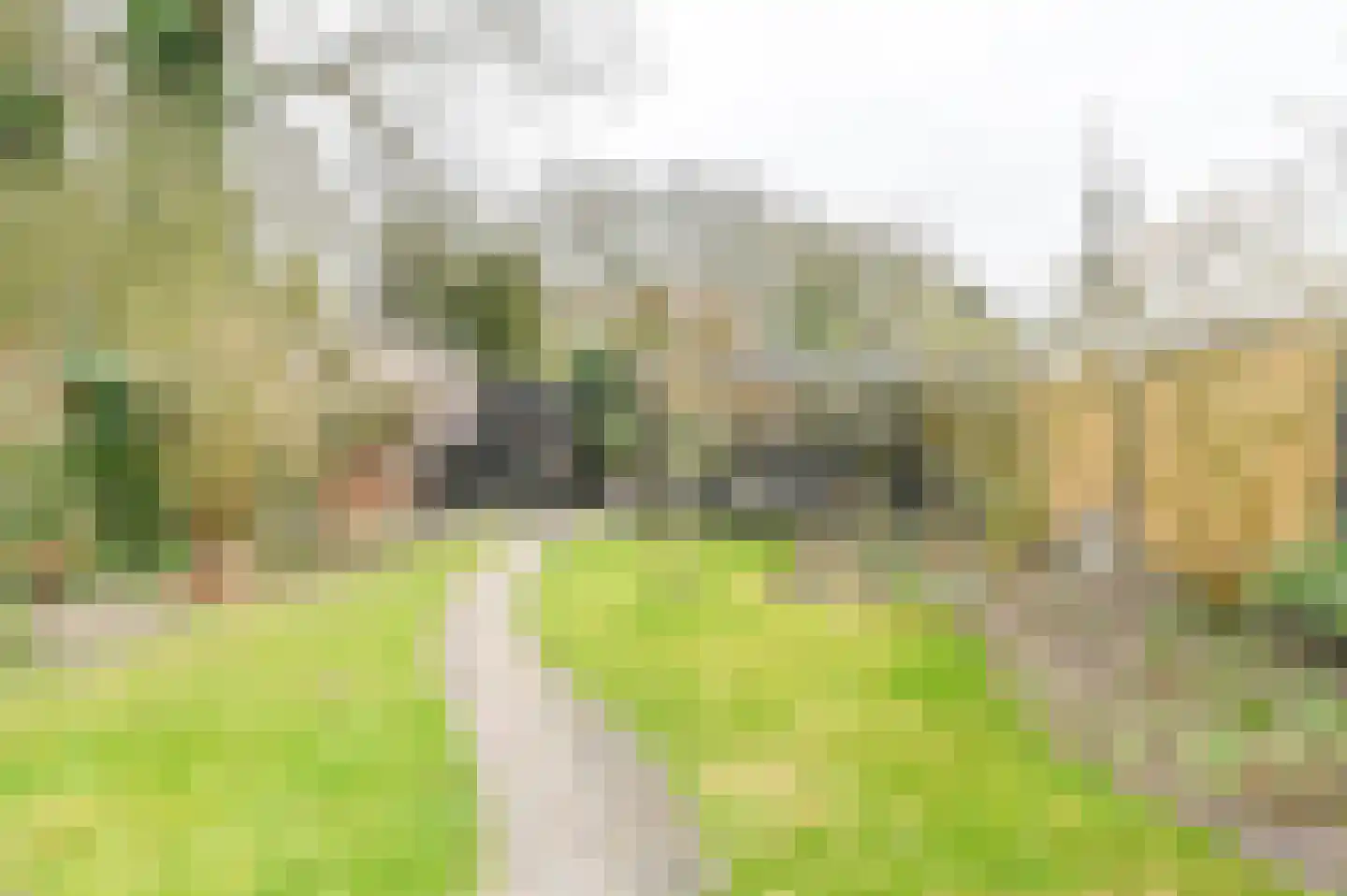 Kuifmees 61 Emmen thumbnail 4