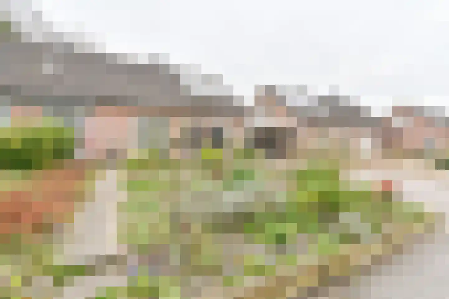 Kuifmees 61 Emmen thumbnail 5