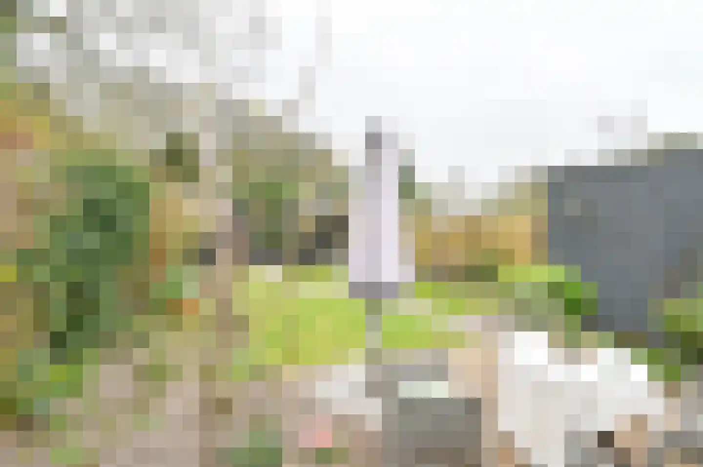 Kuifmees 61 Emmen thumbnail 50