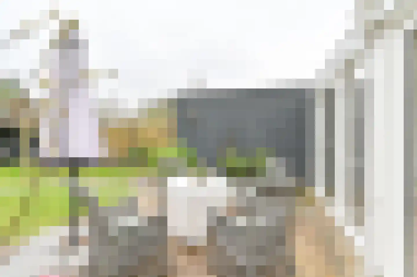 Kuifmees 61 Emmen thumbnail 51