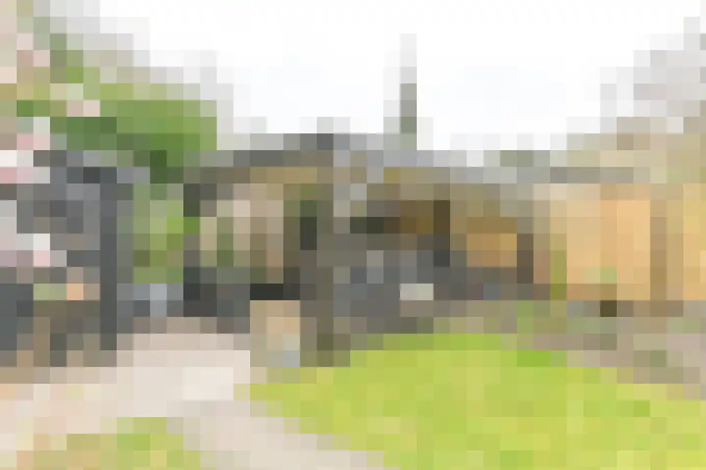 Kuifmees 61 Emmen thumbnail 52