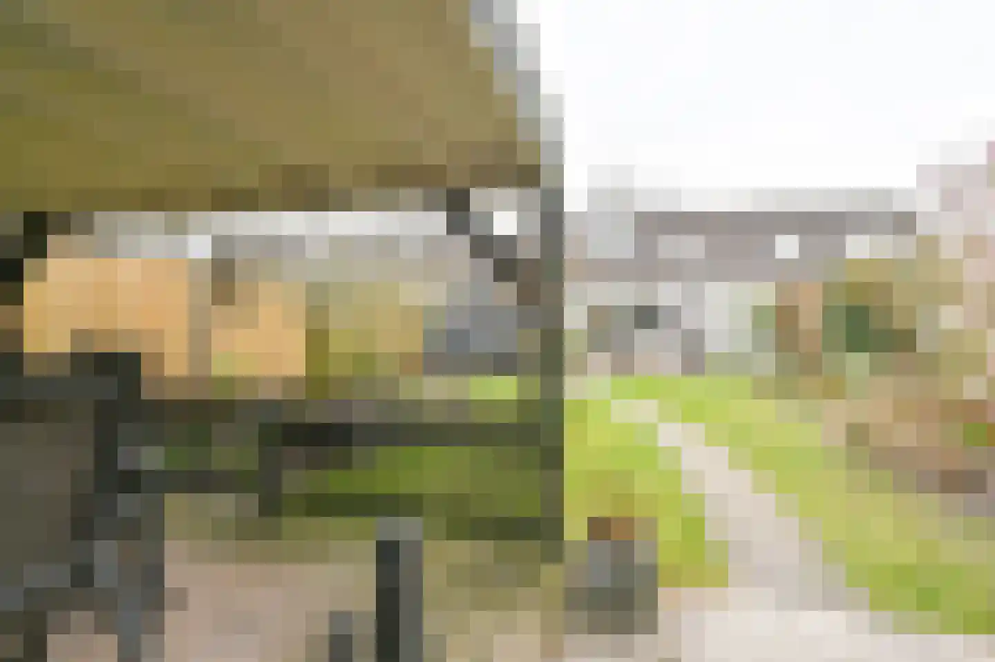 Kuifmees 61 Emmen thumbnail 54