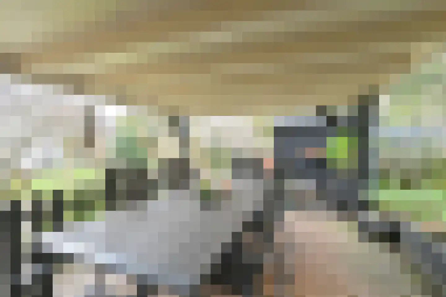 Kuifmees 61 Emmen thumbnail 55