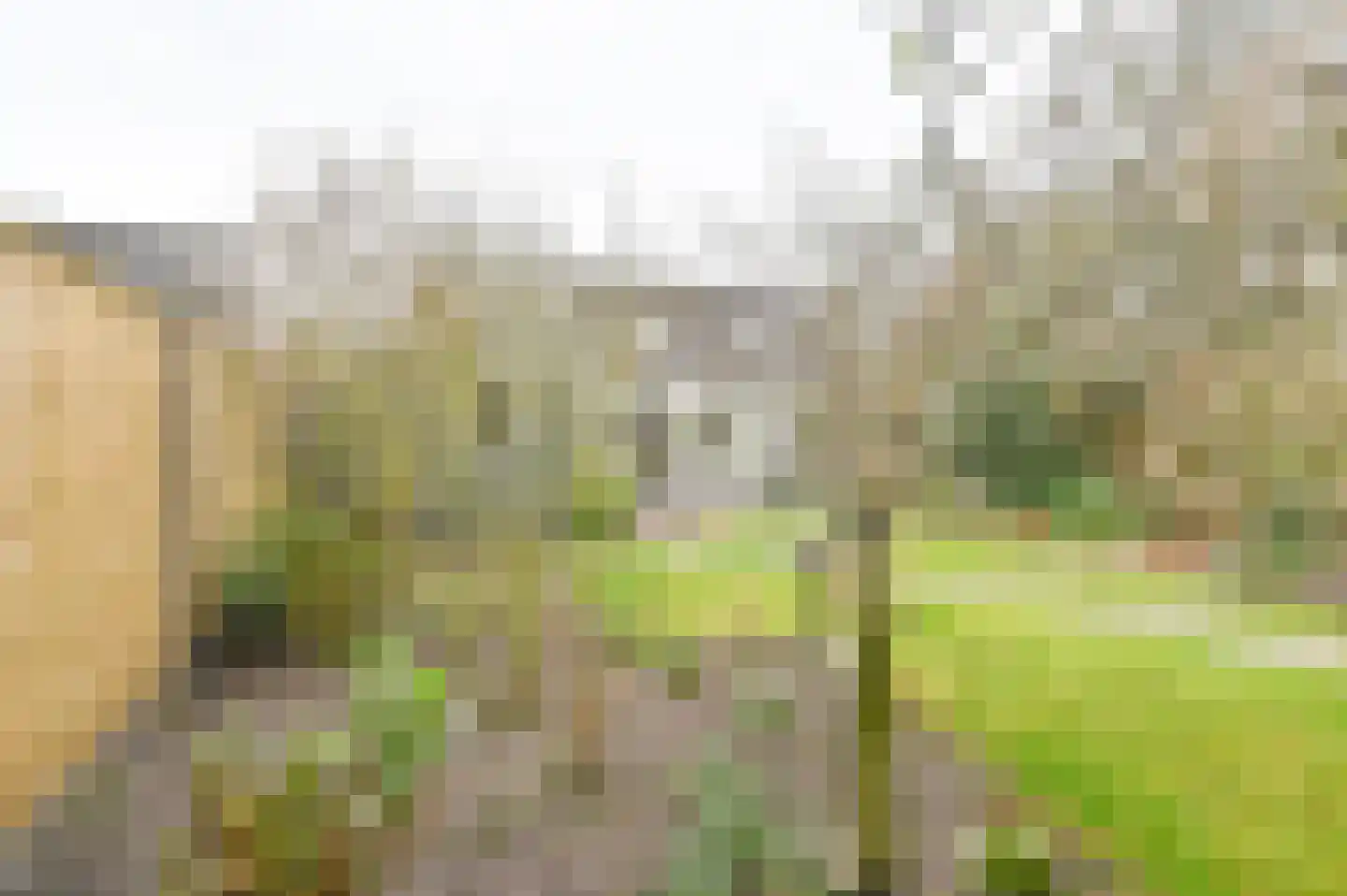 Kuifmees 61 Emmen thumbnail 56