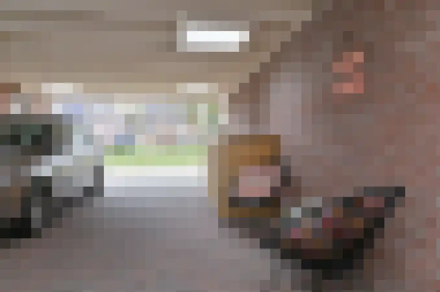 Kuifmees 61 Emmen thumbnail 60