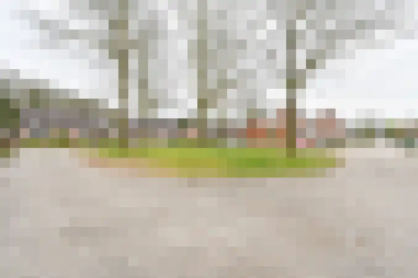 Kuifmees 61 Emmen thumbnail 65