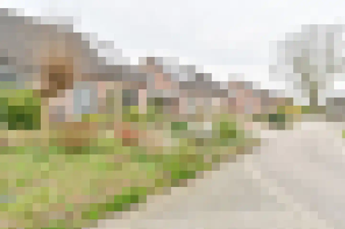 Kuifmees 61 Emmen thumbnail 67