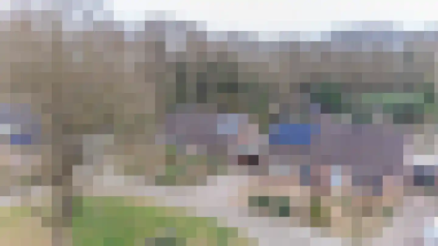 Kuifmees 61 Emmen thumbnail 68