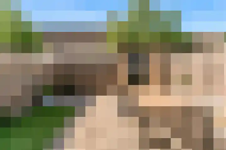 Kuifmees 63 Uithoorn thumbnail 19