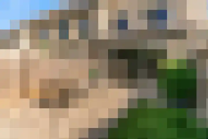 Kuifmees 63 Uithoorn thumbnail 20