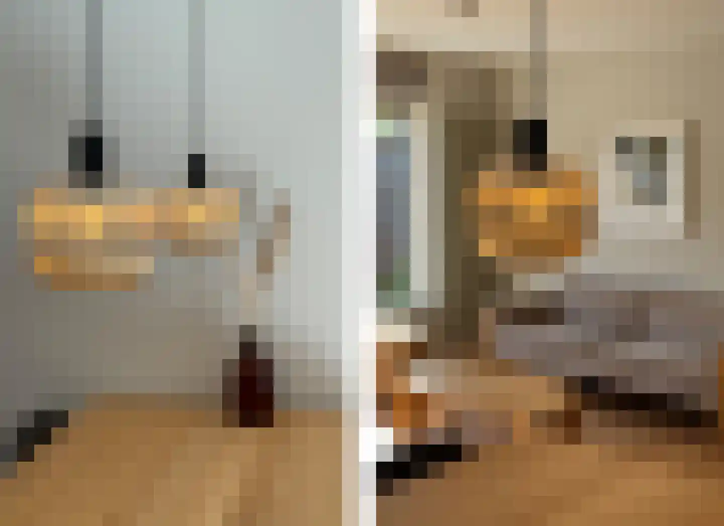 Kuifmees 69 Uithoorn thumbnail 12
