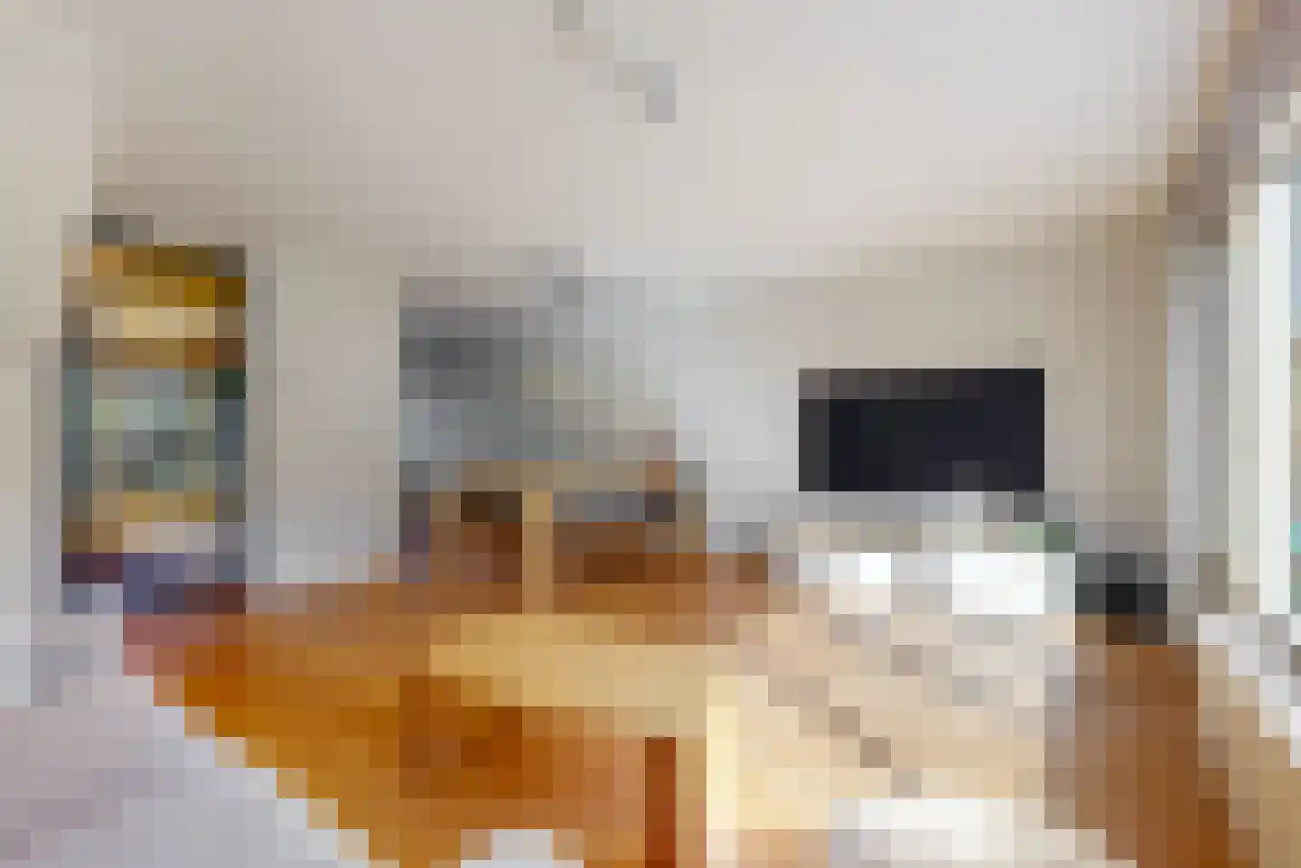 Kuifmees 69 Uithoorn foto 3