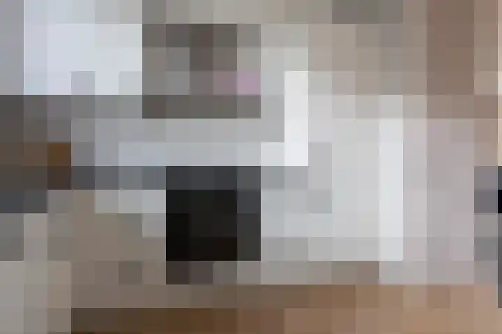 Kuifmees 87 Emmen thumbnail 11