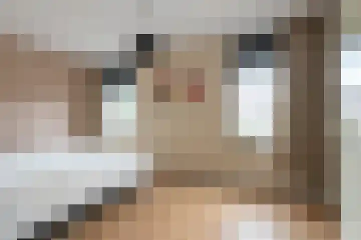 Kuifmees 87 Emmen thumbnail 15