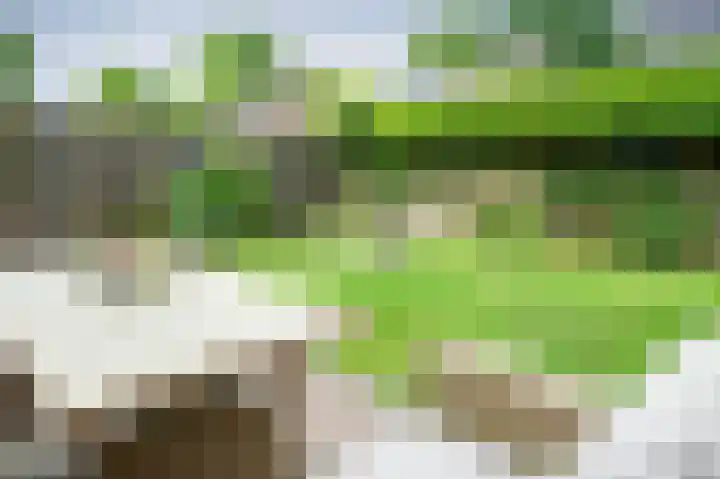 Kuifmees 87 Emmen thumbnail 24
