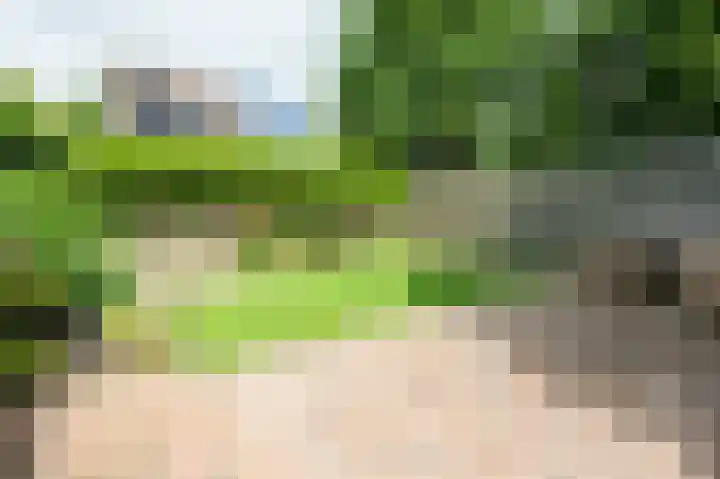 Kuifmees 87 Emmen thumbnail 25