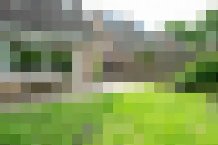 Kuifmees 87 Emmen thumbnail 26