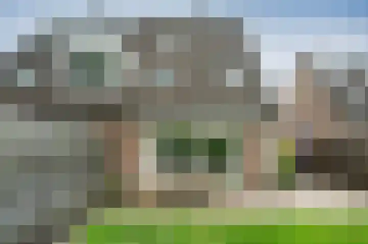 Kuifmees 87 Emmen thumbnail 28