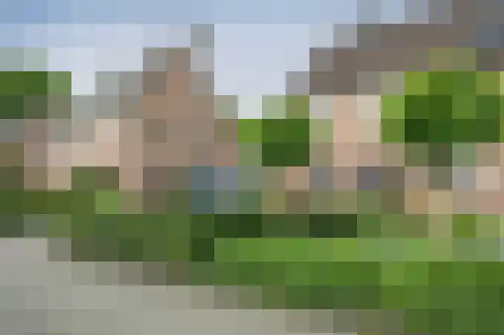 Kuifmees 87 Emmen thumbnail 30