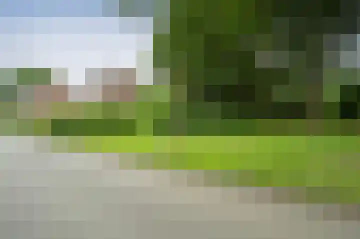 Kuifmees 87 Emmen thumbnail 31