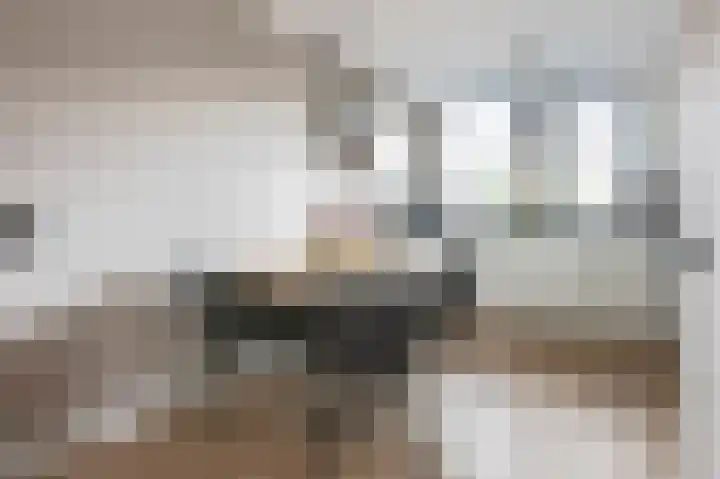 Kuifmees 87 Emmen thumbnail 9