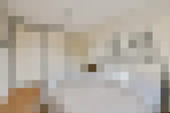 Kuifvlinder 12 Diemen thumbnail 10