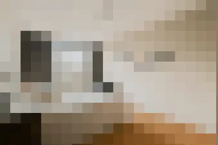 Kuifvlinder 12 Diemen thumbnail 11