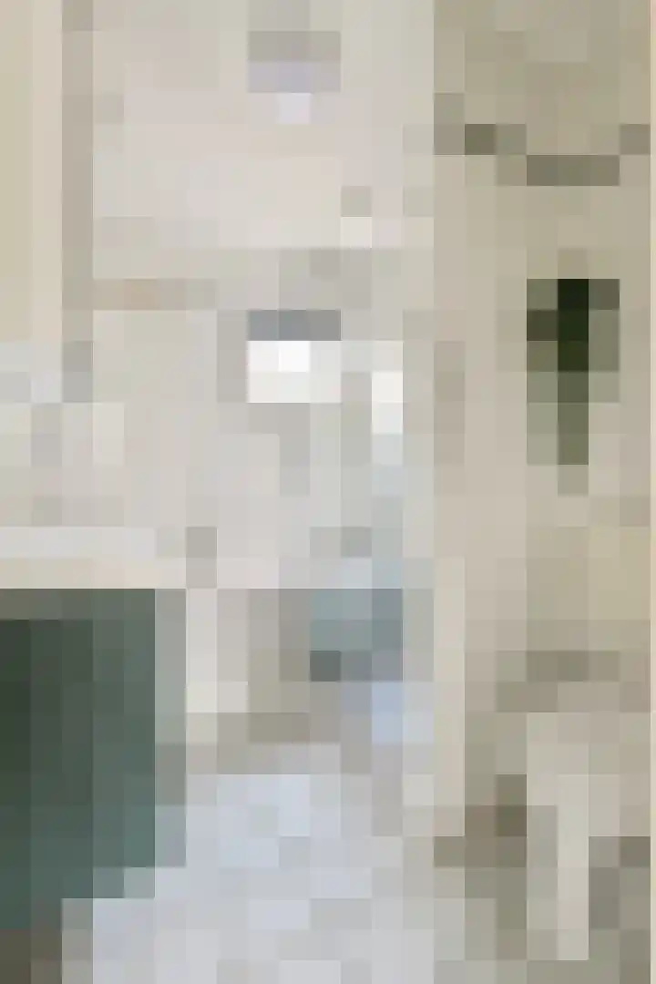 Kuifvlinder 12 Diemen thumbnail 12